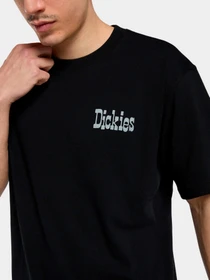 Футболки и поло Dickies модель DK0A88JVBLK1 Фото