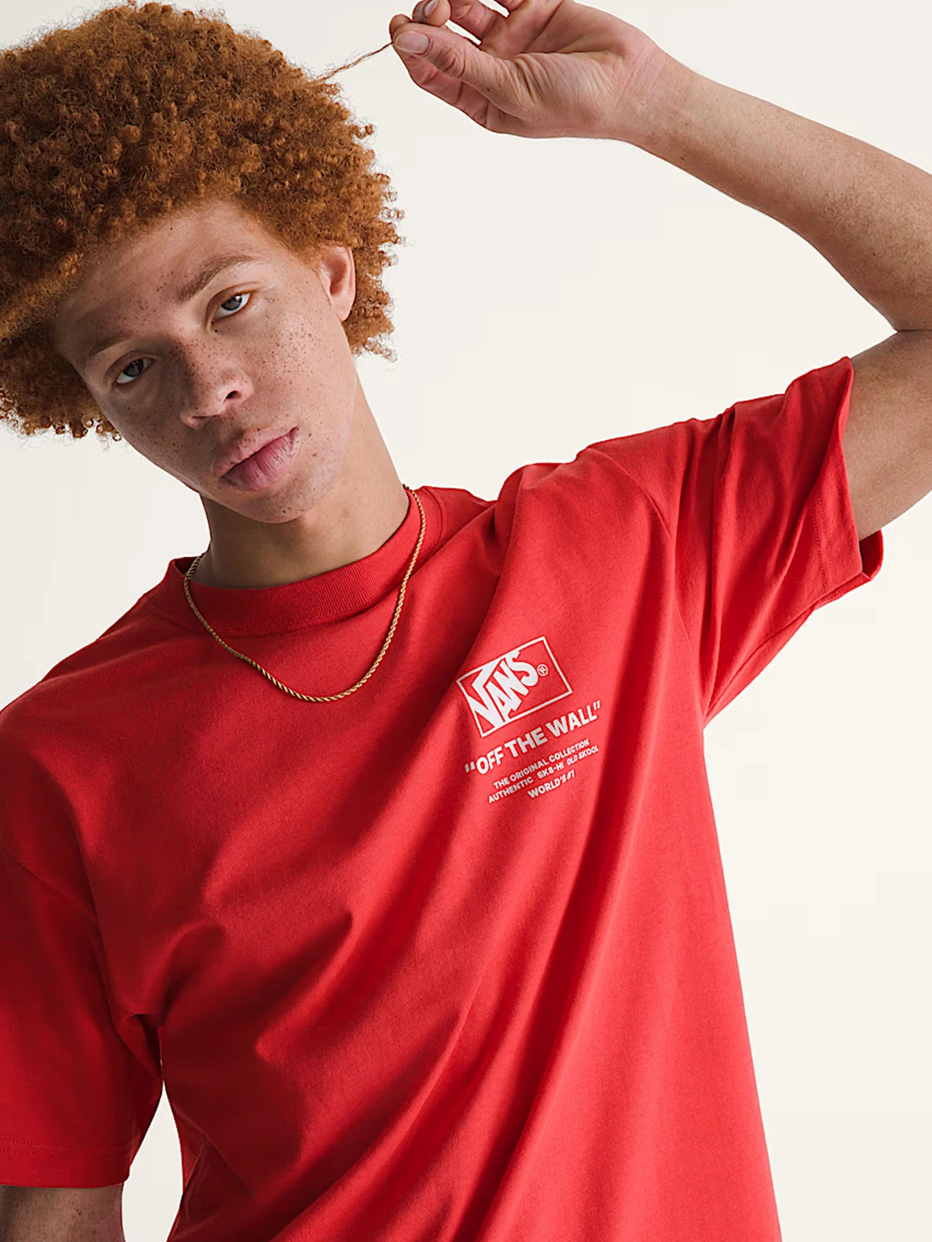Футболки и поло Vans модель VN000PEWFO91 Футболки и поло Vans модель VN000PEWFO91 Фото