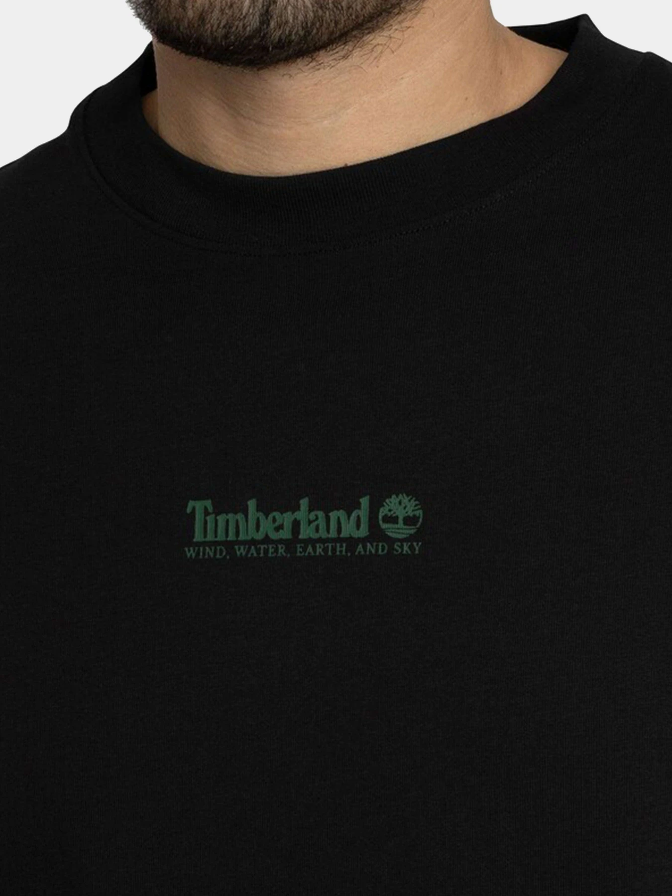 Футболки и поло Timberland модель TBC0YH35001 Футболки и поло Timberland модель TBC0YH35001 Фото