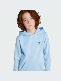 Худи и свитшоты Adidas модель JI5827-KZ Фото