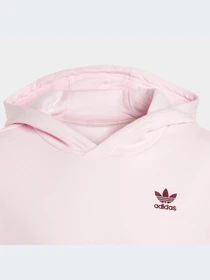 Худи и свитшоты Adidas модель IJ9715-KZ Фото