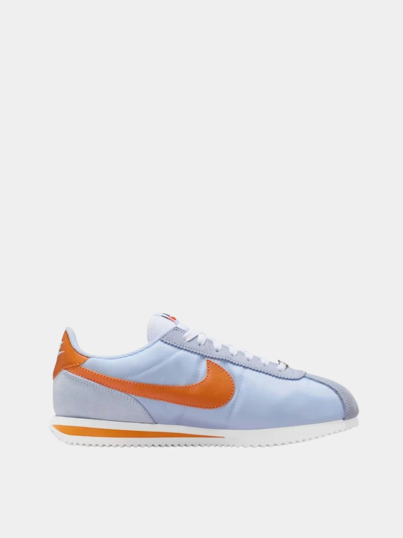 Кроссовки NIKE модель DZ2795-407 Кроссовки NIKE модель DZ2795-407 Фото