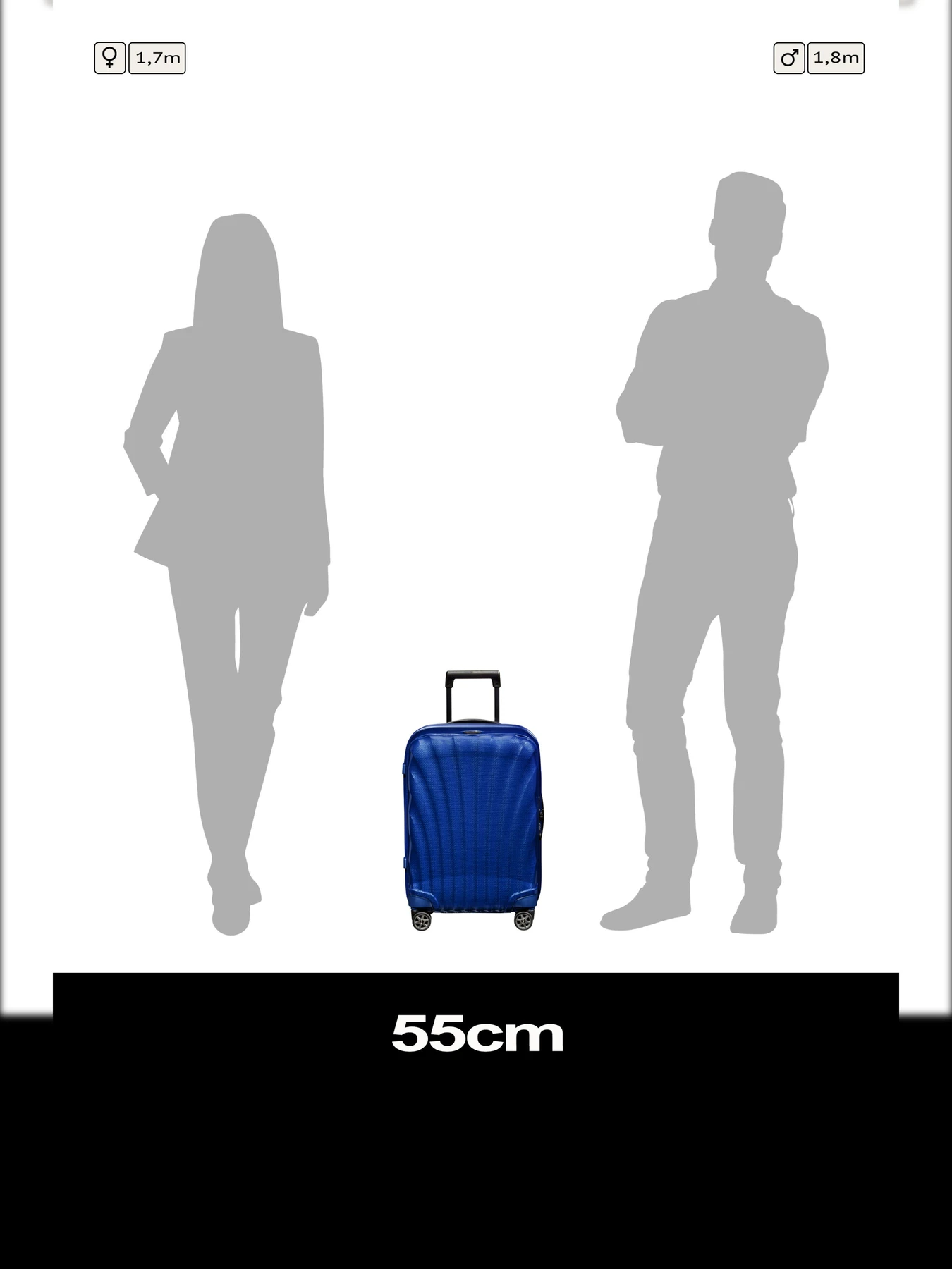 Дорожные сумки и чемоданы Samsonite C-LITE модель 134679-1549 Фото