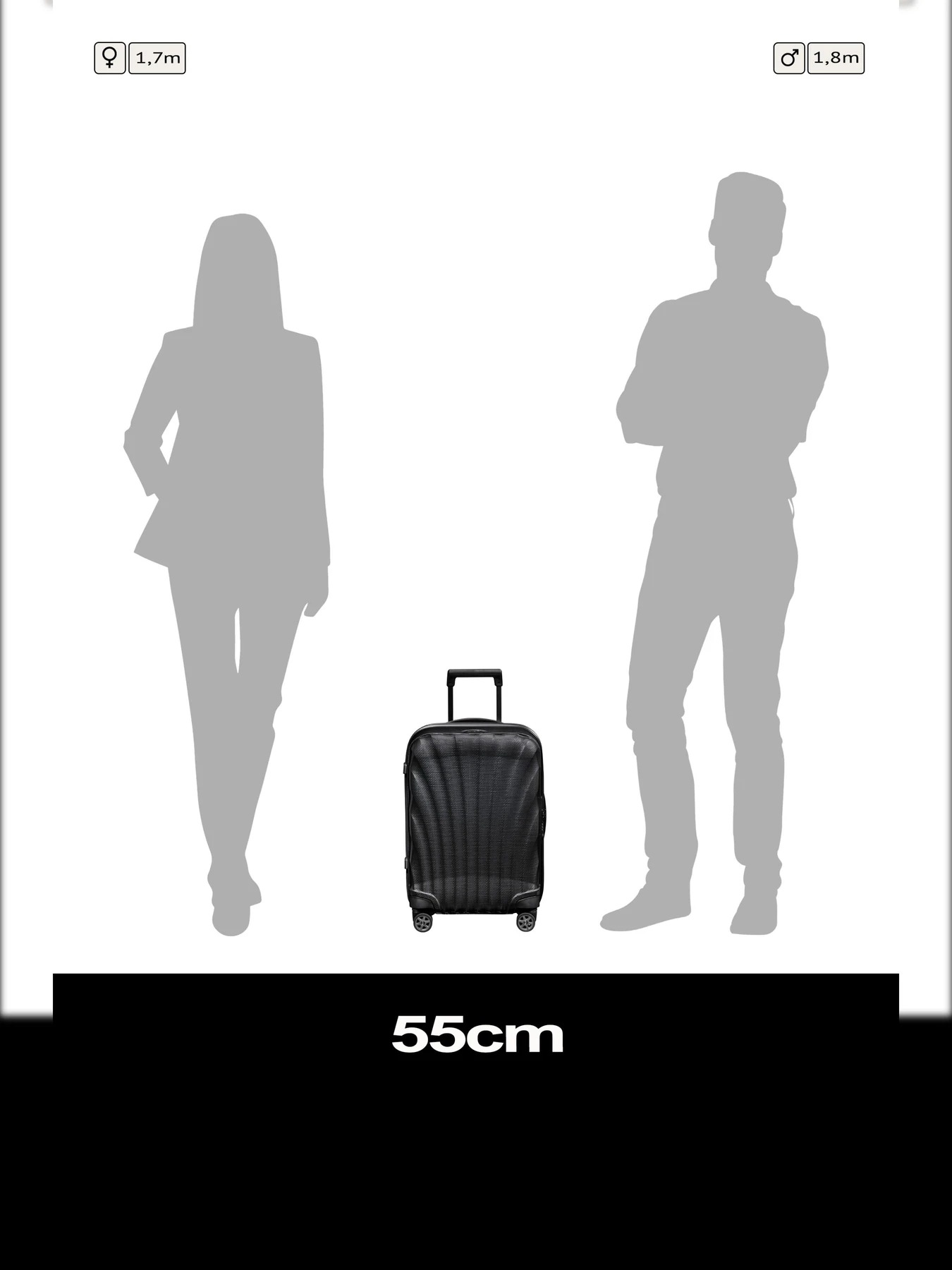 Дорожные сумки и чемоданы Samsonite C-LITE модель 134679-1041 Фото