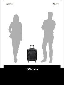 Дорожные сумки и чемоданы Samsonite C-LITE модель 134679-1041 Фото
