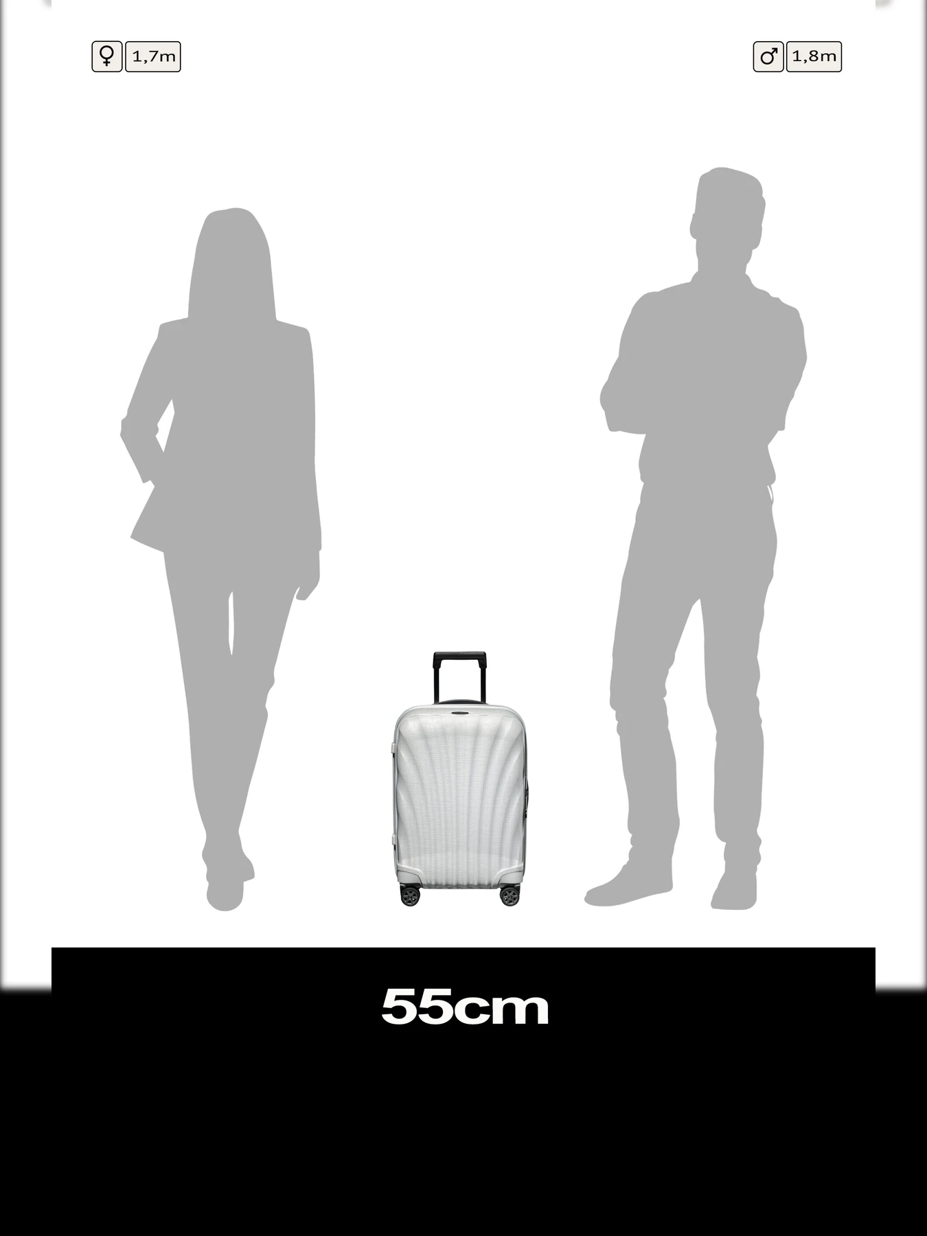 Дорожные сумки и чемоданы Samsonite C-LITE модель 134679-1627 Фото