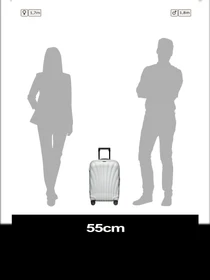 Дорожные сумки и чемоданы Samsonite C-LITE модель 134679-1627 Фото