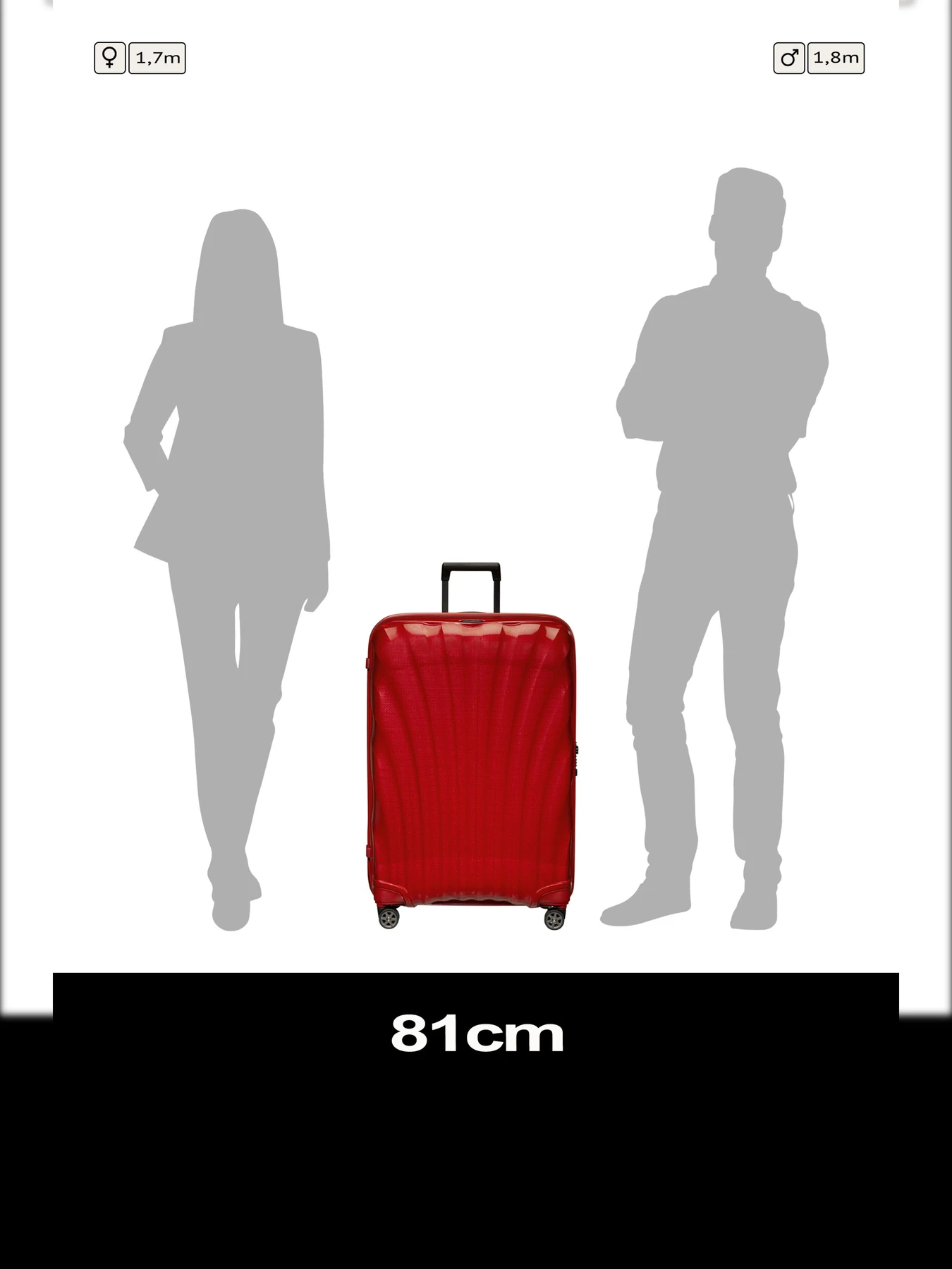 Дорожные сумки и чемоданы Samsonite C-LITE модель 122862-1198 Фото