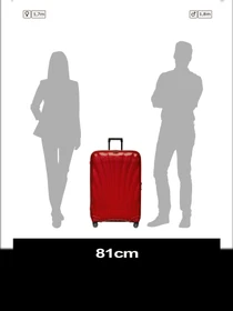 Дорожные сумки и чемоданы Samsonite C-LITE модель 122862-1198 Фото
