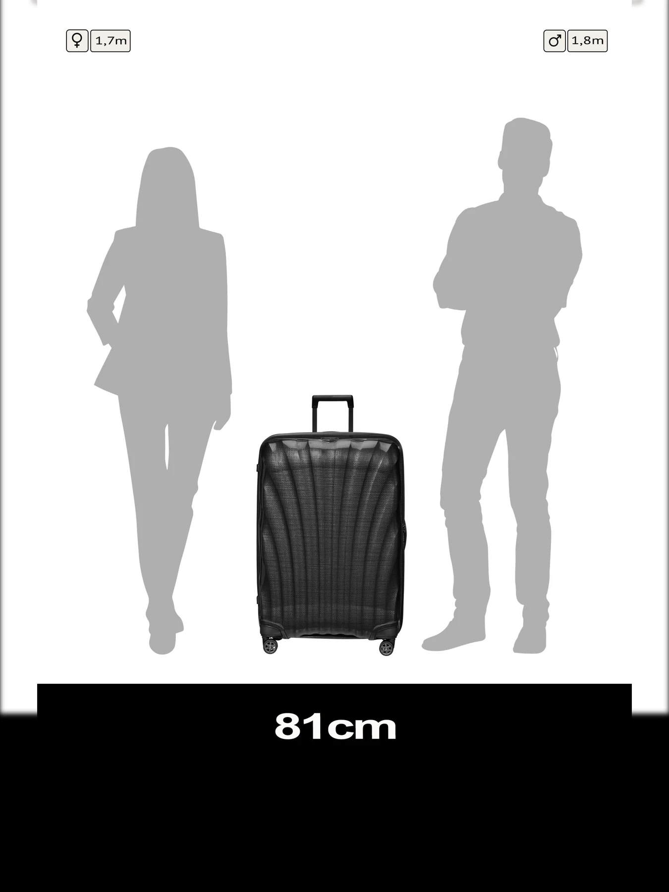 Дорожные сумки и чемоданы Samsonite C-LITE модель 122862-1041 Фото