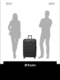 Дорожные сумки и чемоданы Samsonite C-LITE модель 122862-1041 Фото