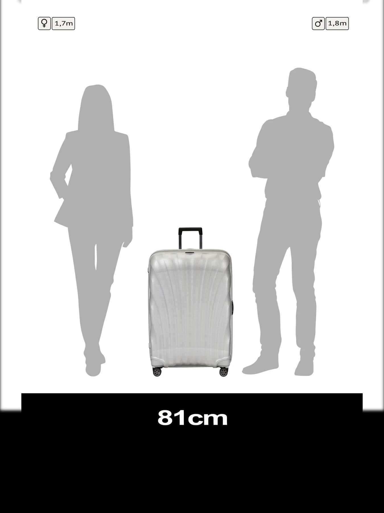 Дорожные сумки и чемоданы Samsonite C-LITE модель 122862-1627 Фото