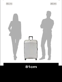 Дорожные сумки и чемоданы Samsonite C-LITE модель 122862-1627 Фото