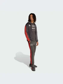 Брюки Adidas модель KE6783-KZ Фото
