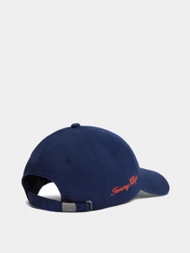 Шапки и кепки Tommy Hilfiger модель AM0AM14120-C7G Фото