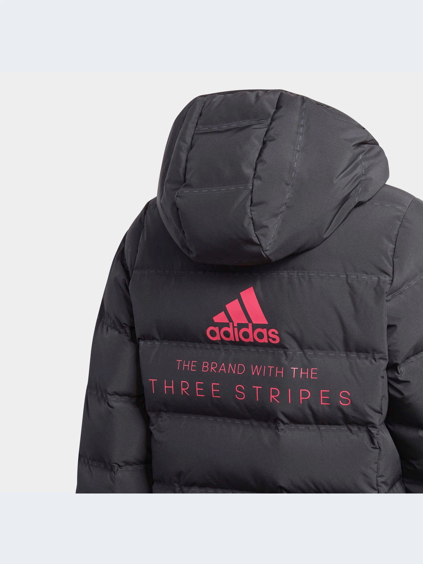 Куртки и дубленки Adidas модель GG3705-KZ Куртки и дубленки Adidas модель GG3705-KZ Фото