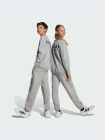 Худи и свитшоты Adidas модель JC7642-KZ Фото