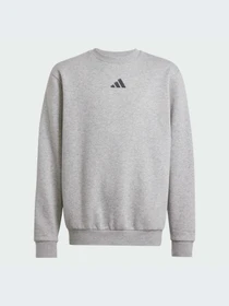 Худи и свитшоты Adidas модель JC7642-KZ Фото