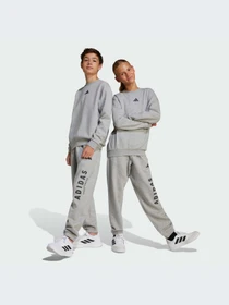 Худи и свитшоты Adidas модель JC7642-KZ Фото
