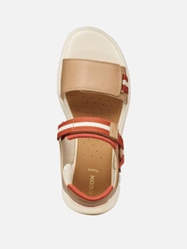 Сандалии Geox модель D65BSC-05415-C5A6B Фото