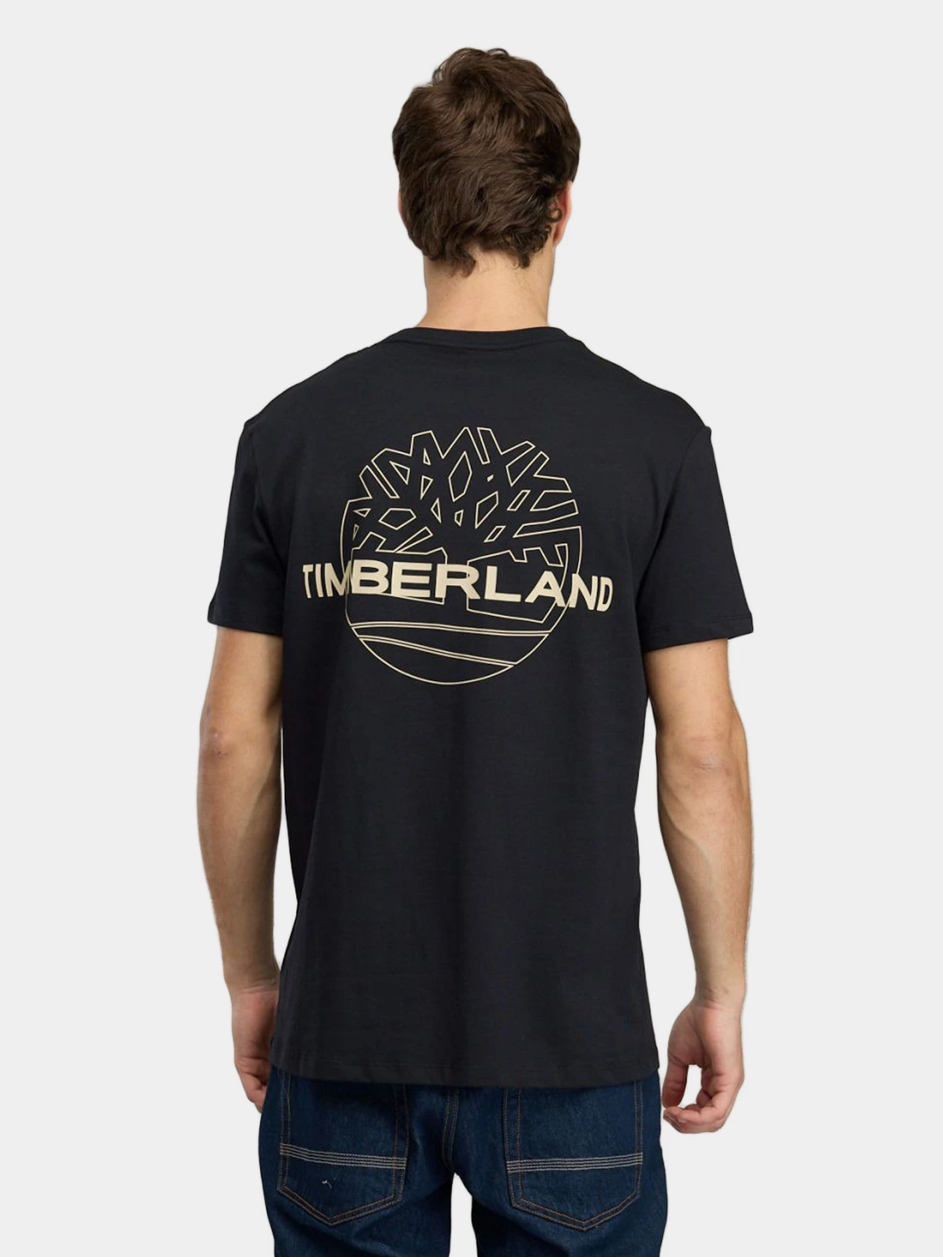 Футболки и поло Timberland модель TBC0YHFZ001 Футболки и поло Timberland модель TBC0YHFZ001 Фото