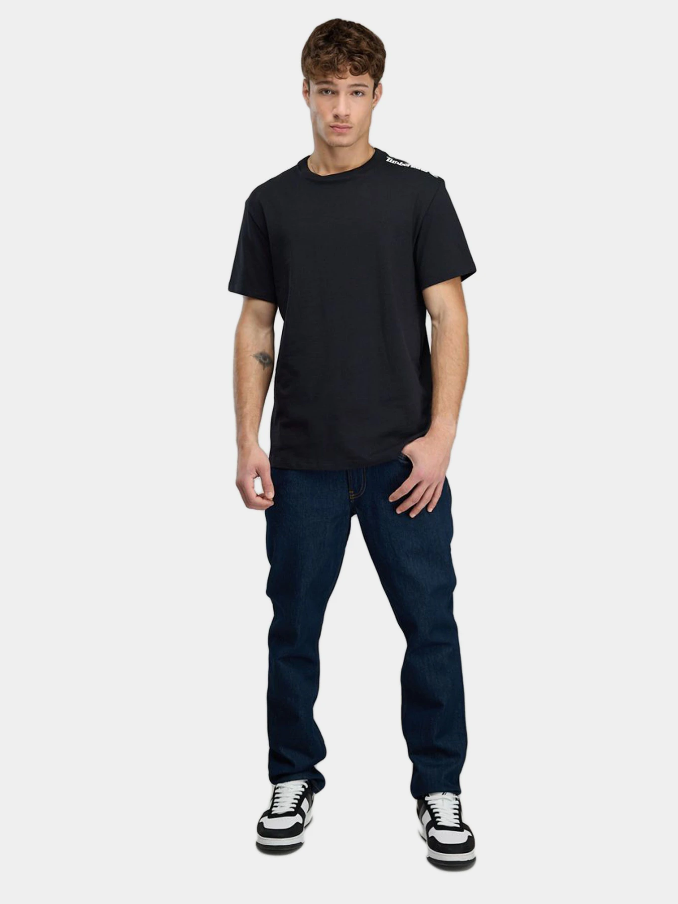 Футболки и поло Timberland модель TBC0YHG0001 Футболки и поло Timberland модель TBC0YHG0001 Фото