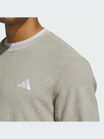 Худи и свитшоты Adidas модель JW1619-KZ Фото