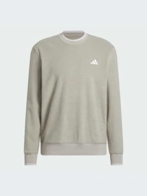 Худи и свитшоты Adidas модель JW1619-KZ Фото