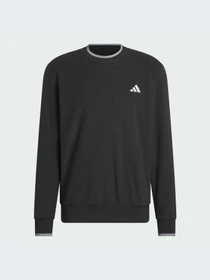 Худи и свитшоты Adidas модель JW1616-KZ Фото