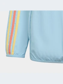 Куртки и дубленки Adidas Graphics модель IB8623-KZ Фото