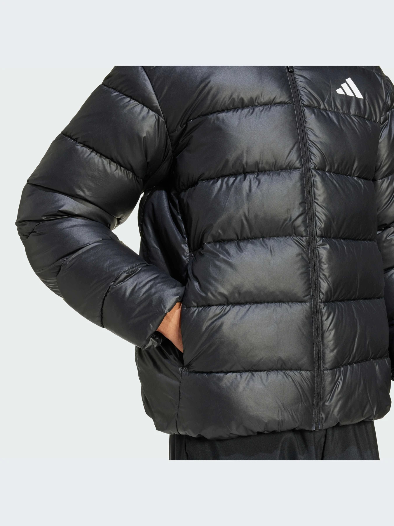 Куртки и дубленки Adidas модель JV7718-KZ Куртки и дубленки Adidas модель JV7718-KZ Фото