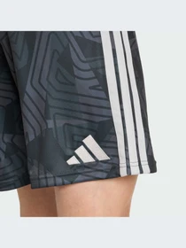 Шорты Adidas модель KC5351-KZ Фото