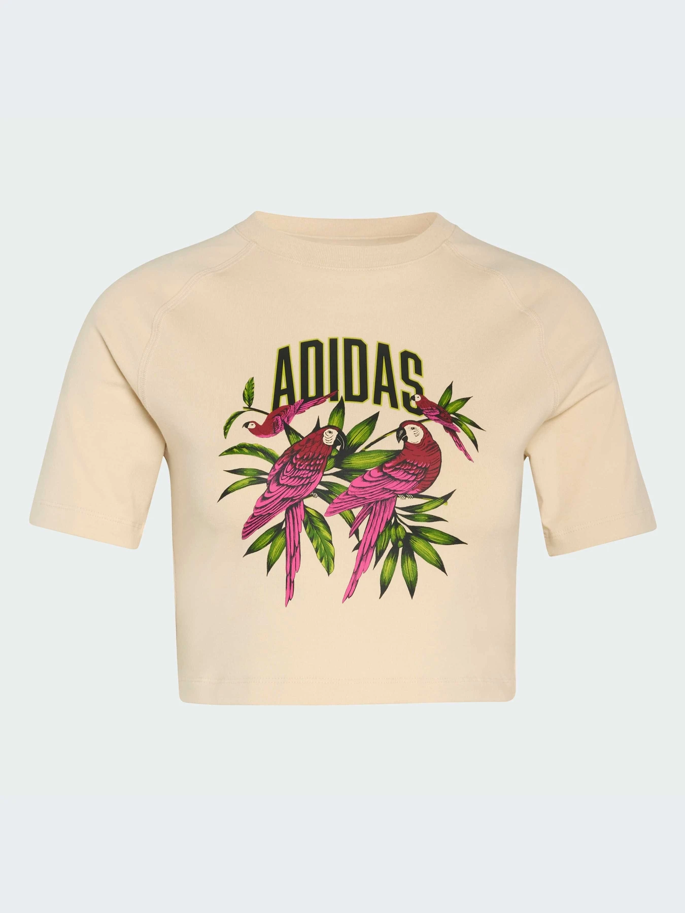 Футболки и поло Adidas модель KD4622-KZ Футболки и поло Adidas модель KD4622-KZ Фото