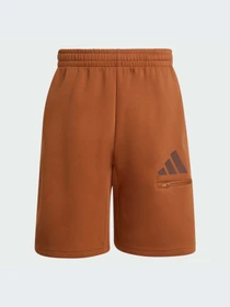 Шорты Adidas модель JZ9397-KZ Фото