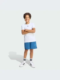 Шорты Adidas ZNE модель KG1002-KZ Фото