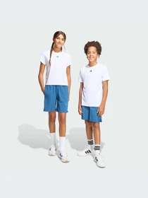 Шорты Adidas ZNE модель KG1002-KZ Фото