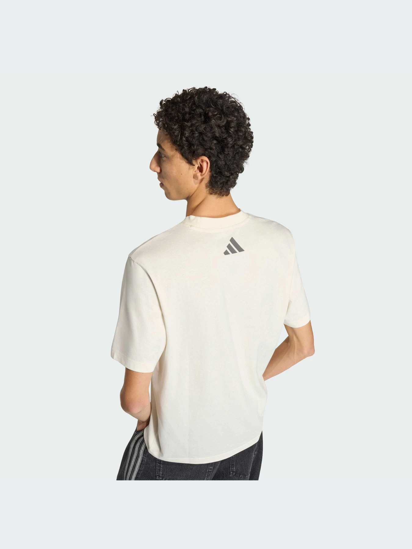 Футболки и поло Adidas модель KE8287-KZ Футболки и поло Adidas модель KE8287-KZ Фото