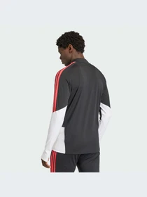 Худи и свитшоты Adidas Tiro модель KA7560-KZ Фото