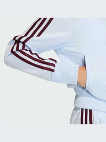 Худи и свитшоты Adidas Adicolor модель KC6574-KZ Фото