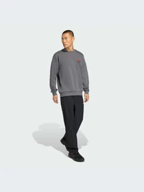 Худи и свитшоты Adidas модель KB9660-KZ Фото