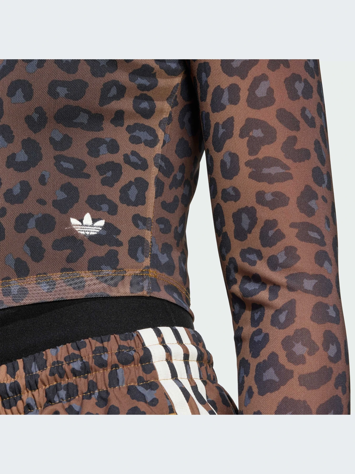 Худи и свитшоты Adidas модель JW2772-KZ Худи и свитшоты Adidas модель JW2772-KZ Фото