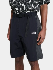 Шорты The North Face модель NF0A8GE5JK31 Фото
