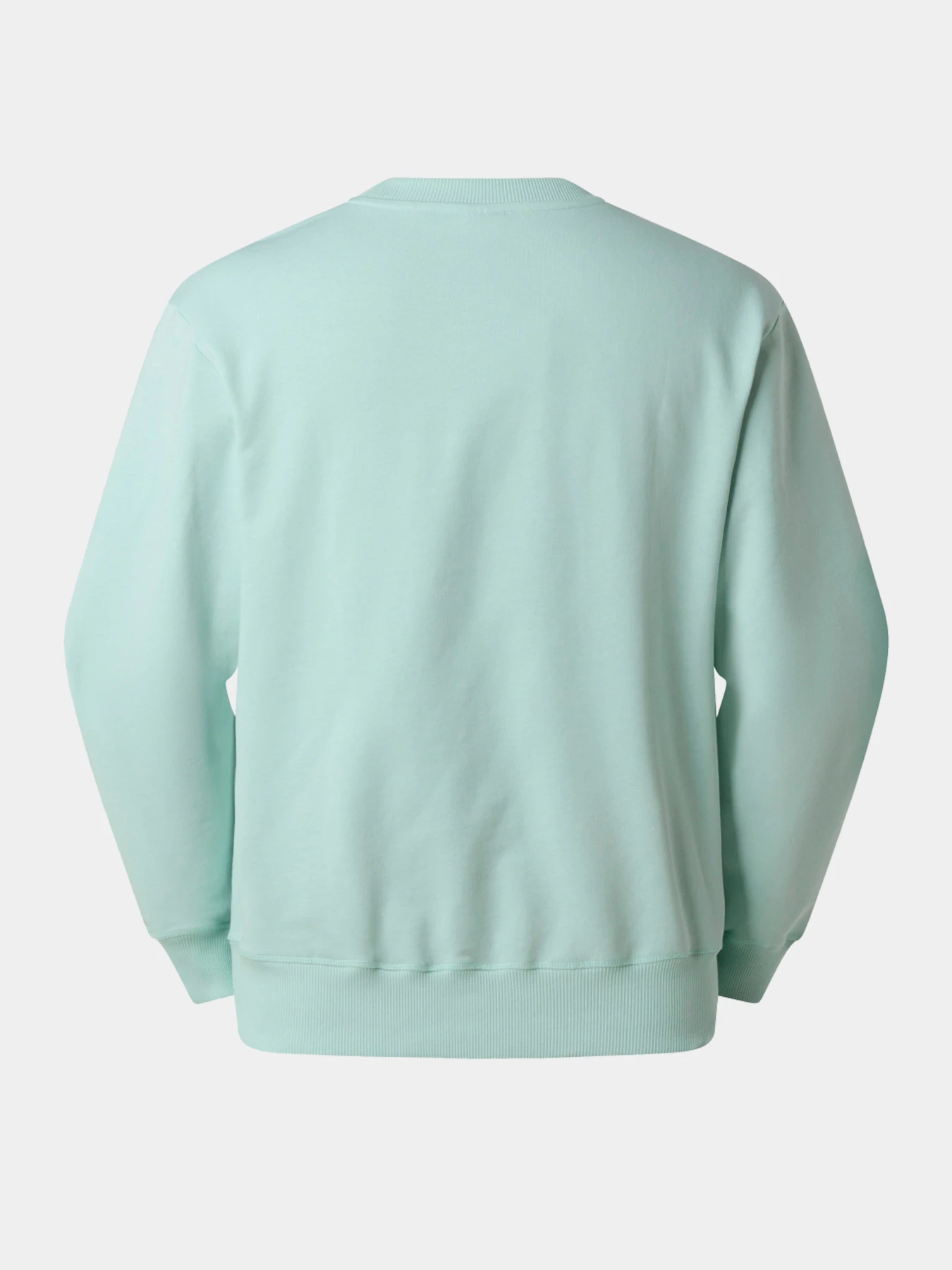 Худи и свитшоты The North Face модель NF0A8GQCG701 Худи и свитшоты The North Face модель NF0A8GQCG701 Фото