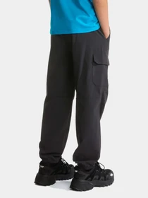 Брюки The North Face модель NF0A8F8QJK31 Фото