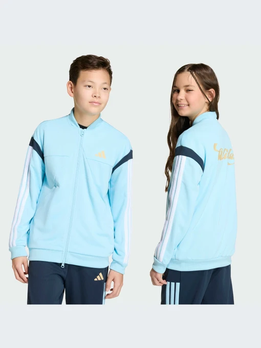 Худи и свитшоты Adidas Tiro модель KH3808-KZ Фото