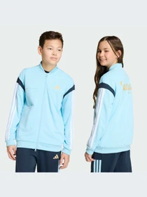 Худи и свитшоты Adidas Tiro модель KH3808-KZ Фото
