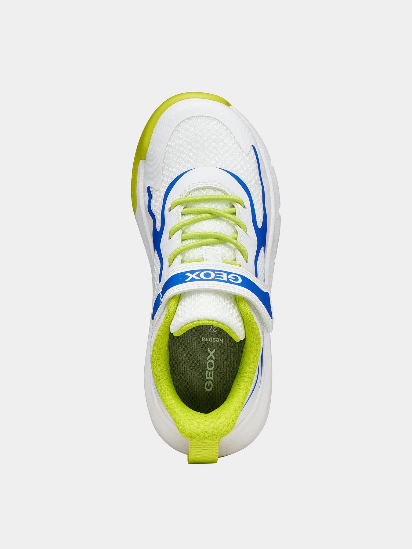 Кроссовки Geox модель J65P7F-01454-C0293 Кроссовки Geox модель J65P7F-01454-C0293 Фото