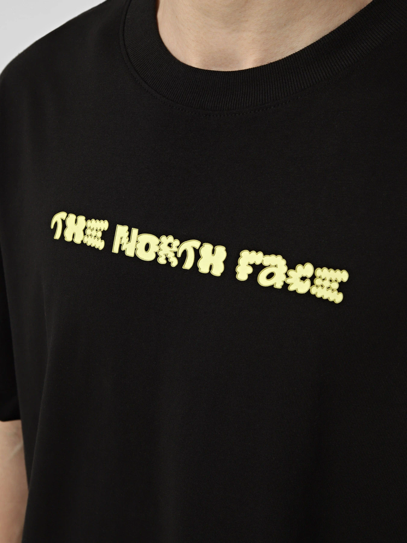 Футболки и поло The North Face модель NF0A8GQVJK31 Футболки и поло The North Face модель NF0A8GQVJK31 Фото