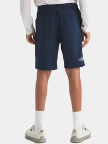 Шорты The North Face модель NF0A8BNH8K21 Фото