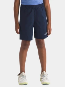 Шорты The North Face модель NF0A8BNH8K21 Фото